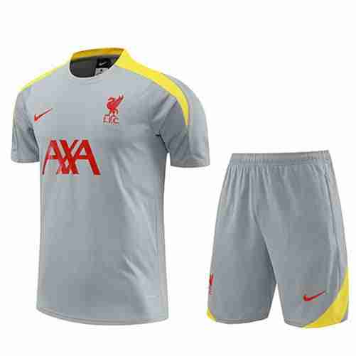 Tailandia Conjunto Camiseta Entrenamiento Liverpool 2024 2025 Gris Tailandia Conjunto Camiseta Entrenamiento Liverpool 2024 2025 Gris