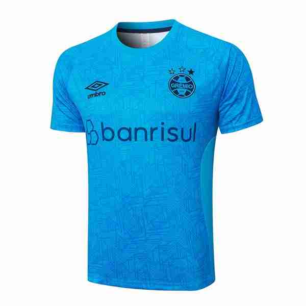 Camiseta Entrenamiento Grêmio FBPA 2024-2025 Azul Tailandia Camiseta Entrenamiento Gremio FBPA 2024 2025 Azul