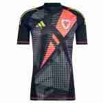 Tailandia Camiseta Portero Gales 2024