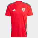 Tailandia Camiseta Primera Gales 2024