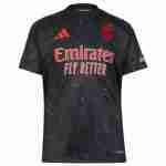 Tailandia Camiseta Segunda Benfica 2024 2025