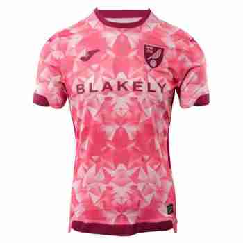 Tailandia Camiseta Segunda Norwich City 2025 2026