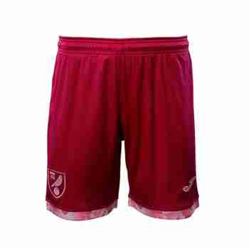 Tailandia Pantalones Segunda Norwich City 2025 2026