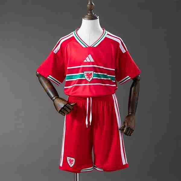 Camiseta Gales 1ª Niño 2026 Camiseta Gales Conjunto Niños Primera 2026