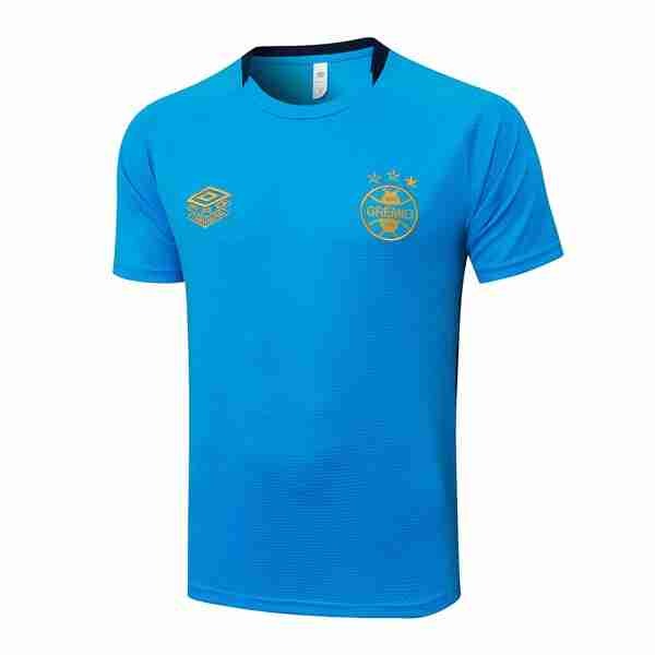 Camiseta Entrenamiento Grêmio FBPA 2025-2026 Azul 4 Tailandia Camiseta Entrenamiento Gremio FBPA 2025 26 Azul