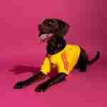 Camiseta Colombia Para Mascotas 2026