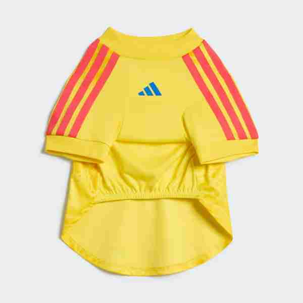 Camiseta Colombia Para Mascotas 2026_1