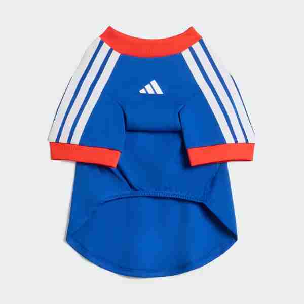 Camiseta Estados Unidos Para Mascotas 2026_1