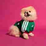Camiseta México Para Mascotas 2026