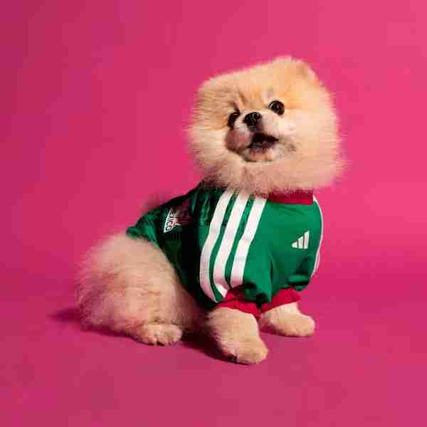 Camiseta México Para Mascotas 2026 Camiseta México Para Mascotas 2026