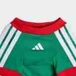 Camiseta México Para Mascotas 2026