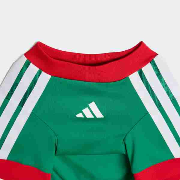 Camiseta México Para Mascotas 2026_3