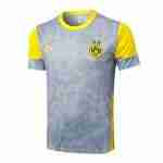 Tailandia Camiseta Entrenamiento Borussia Dortmund 2026 2027 Gris